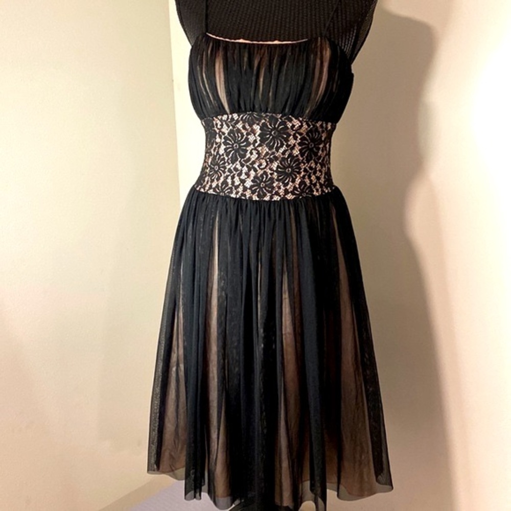Eliza J Black and Cream Lace Dress